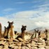 South Bolivia and the Salar de Uyuni