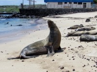 Our amazing trip in the Galápagos Islands